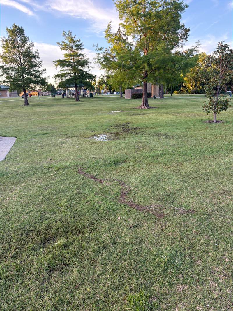 walking near me in Jackson Park in summer