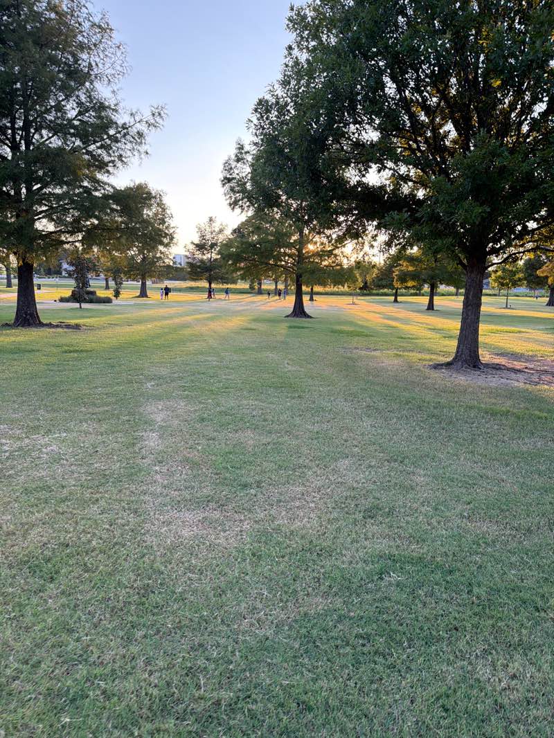 walking near me in Jackson Park in summer