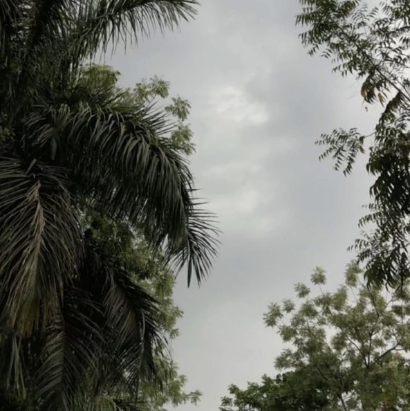 Ruqaia mubarak alasmari profile