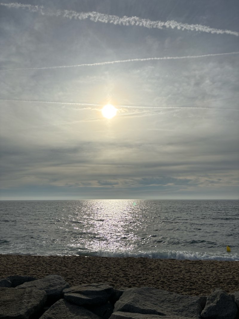 walking near me in Jardins dels Països Catalans in winter