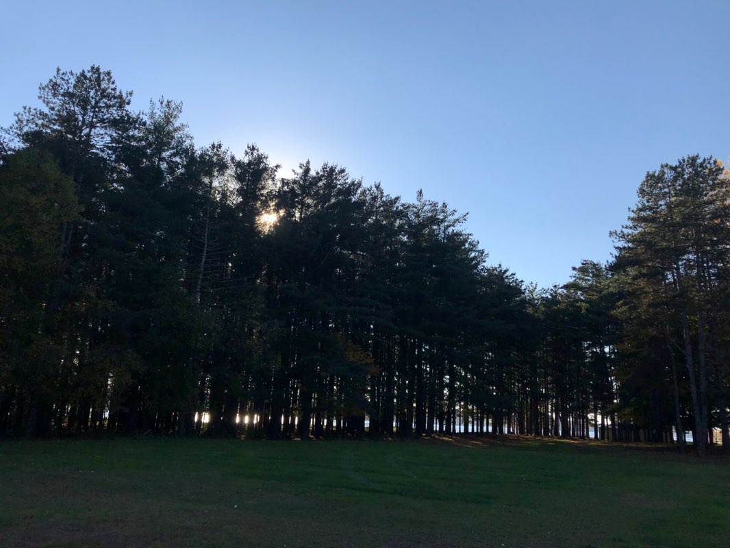 walking near me in Holloway Reservoir Regional Park in winter