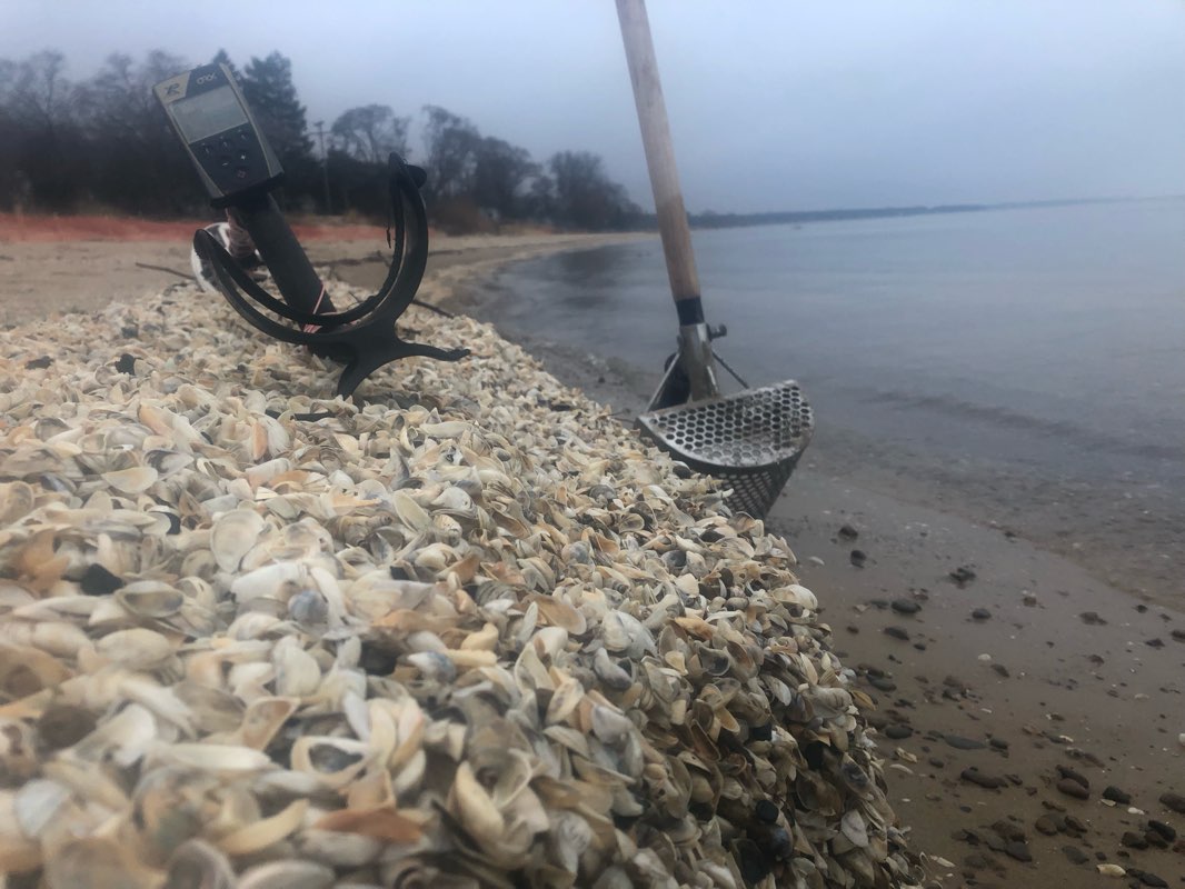 walking near me in Oak Beach County Park in winter