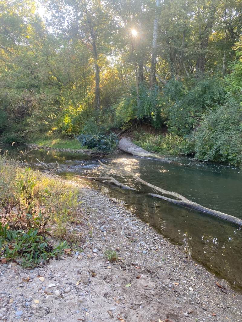 walking near me in Mar Len Park in winter