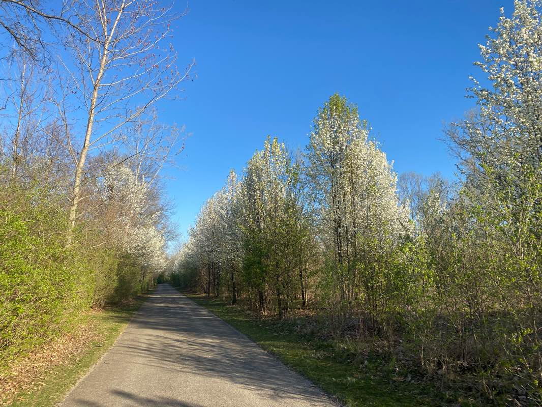walking near me in Armstrong Park in winter