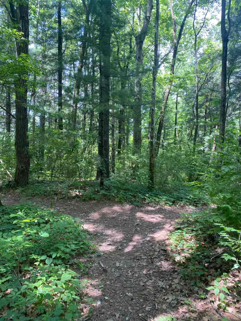 walking near me in Pioneer Village in winter