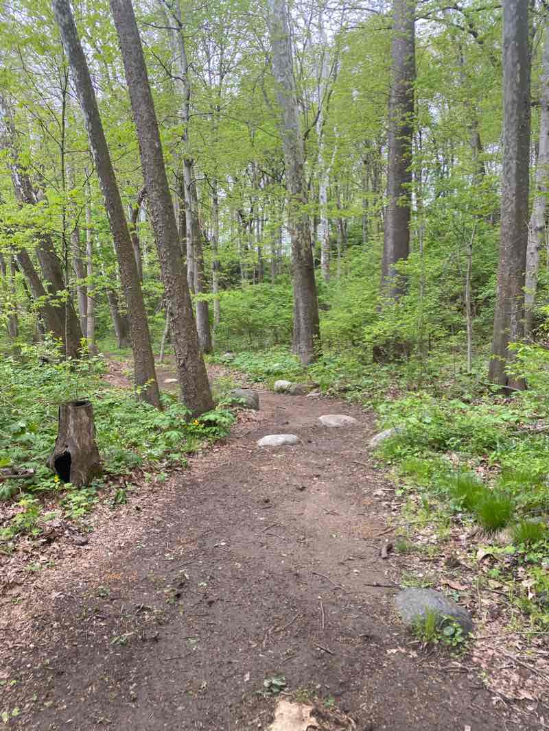 walking near me in France Park in winter