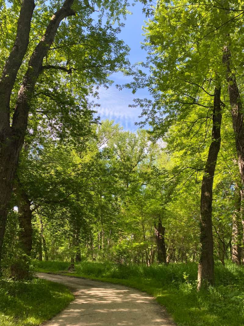 walking near me in McAllister Park (formerly Lafayette Golf Course) in winter