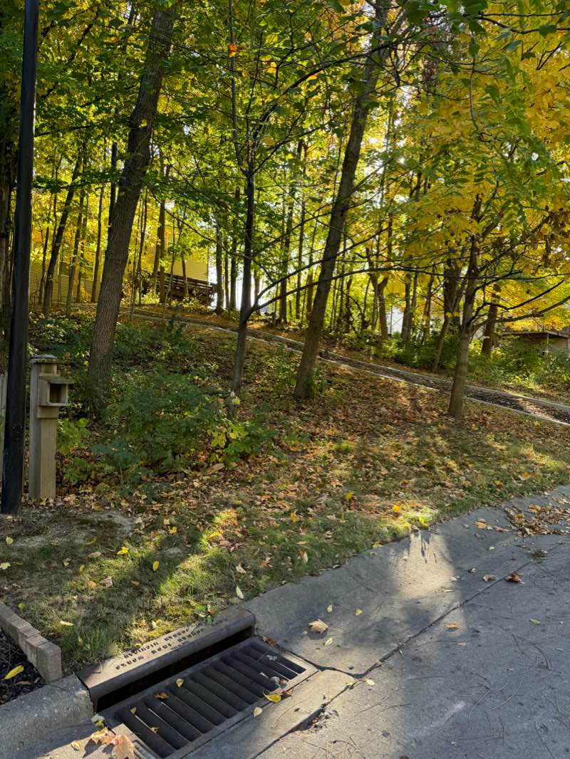 walking near me in Shades State Park in winter
