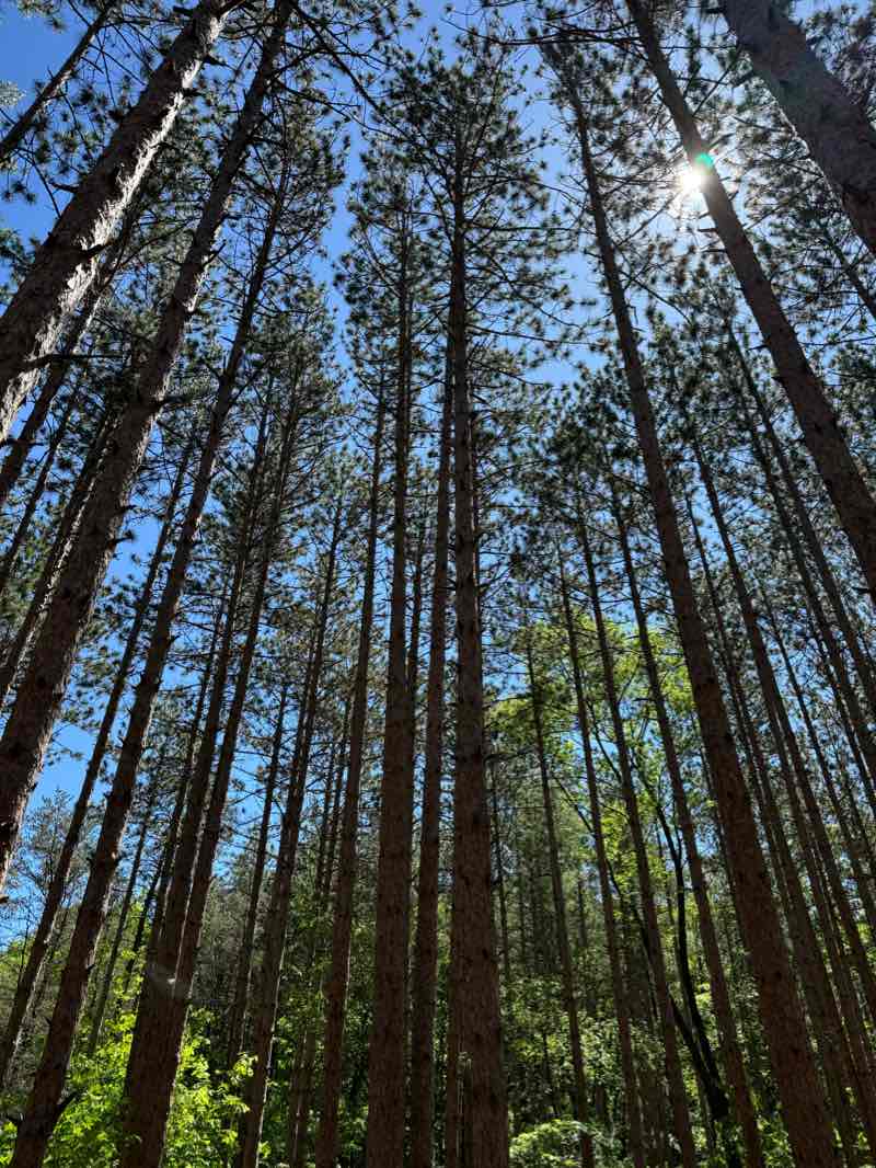 walking near me in Riley Trails Park in winter