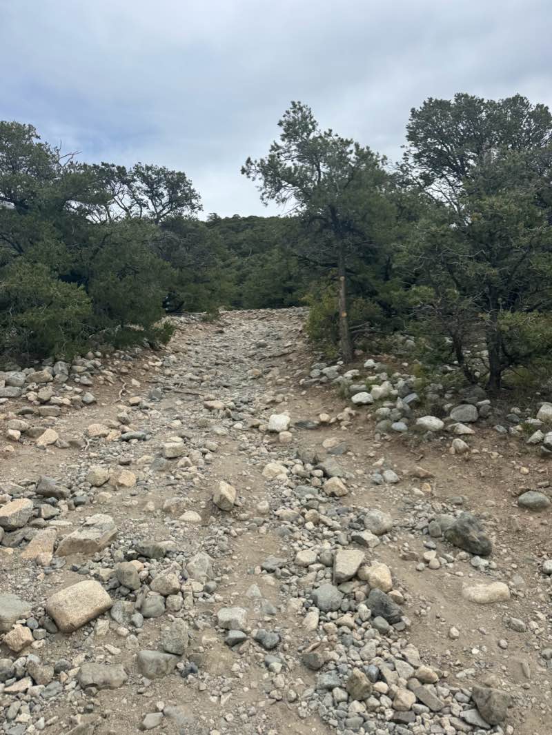 walking near me in Great Sand Dunes National Park in winter