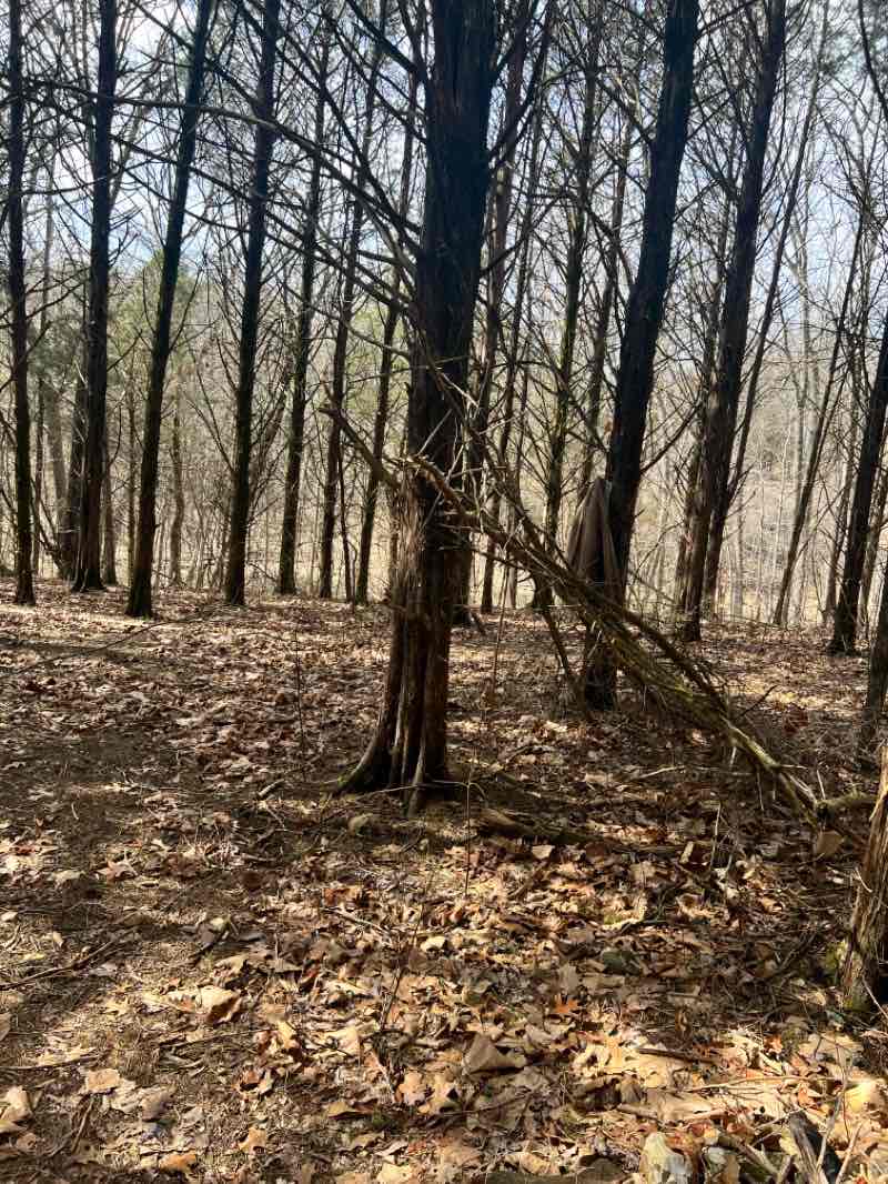 walking near me in Compton Hollow Conservation Area in winter