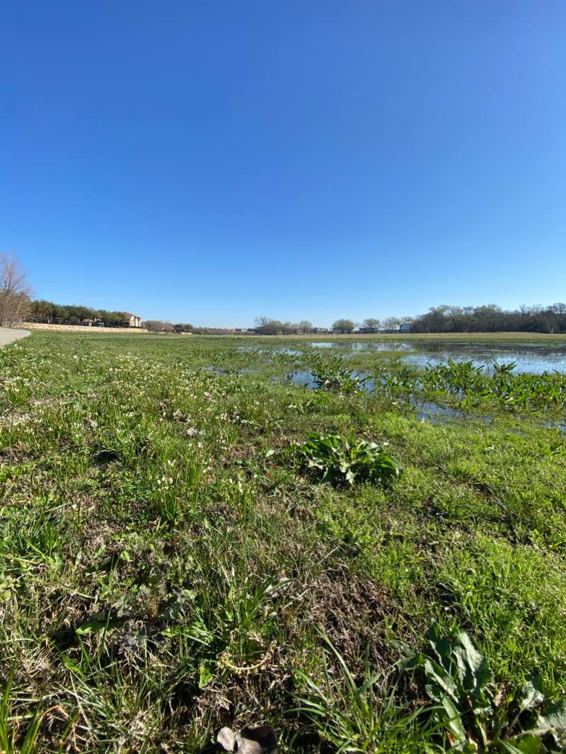 walking near me in Rio Vista Park in winter