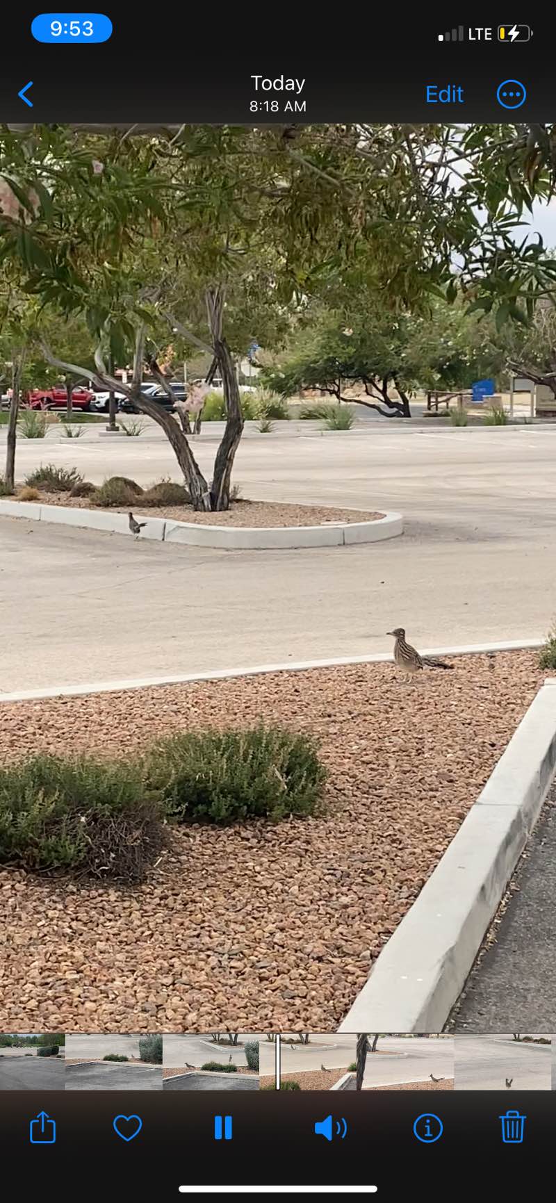 walking near me in Tule Springs Regional Park in winter