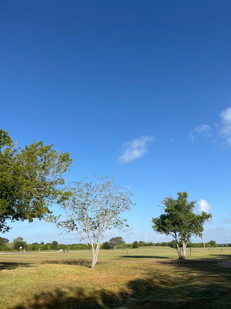 walking near me in Challenger 7 Memorial Park in winter