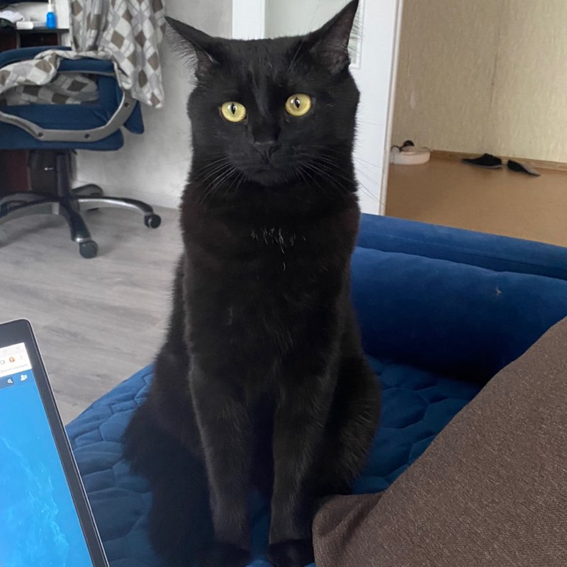 Дарья Vell profile