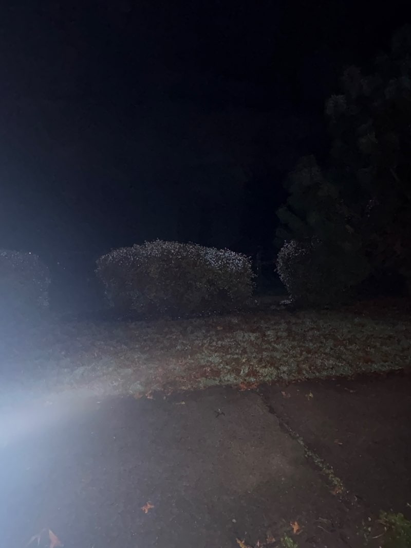 walking near me in University City Park in autumn