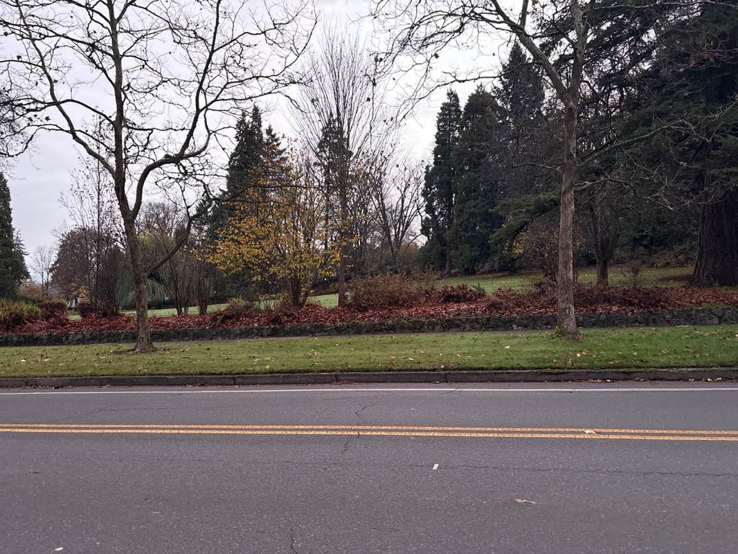 walking near me in Washburne City Park in autumn