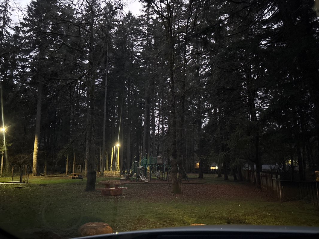 walking near me in Fern Park in winter