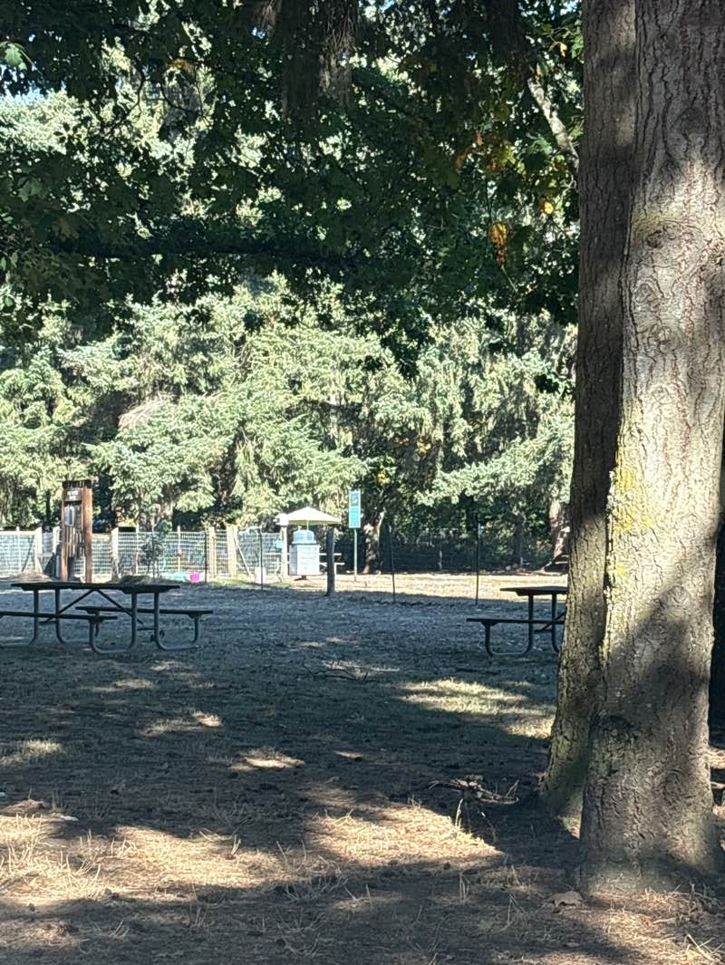 walking near me in Amitage County Park in autumn