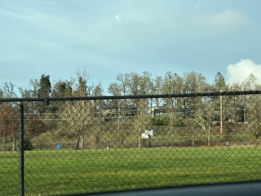 walking near me in Volunteer Park in winter