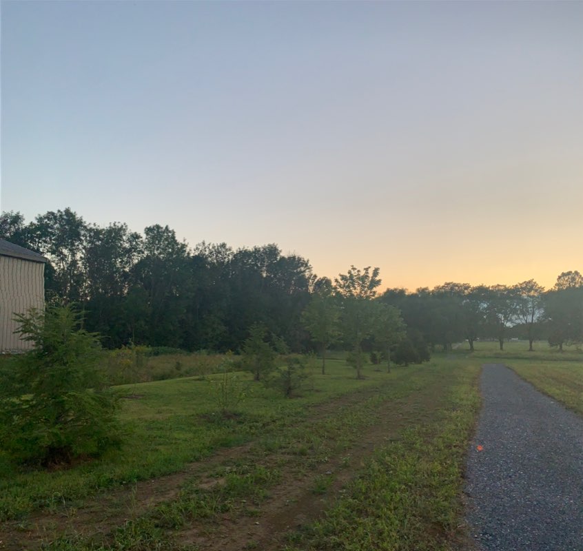 walking near me in Amos Herr Park in winter