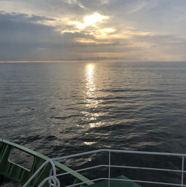 Tanya 🫶🏻🐶😼🧘🏼‍♀️ profile