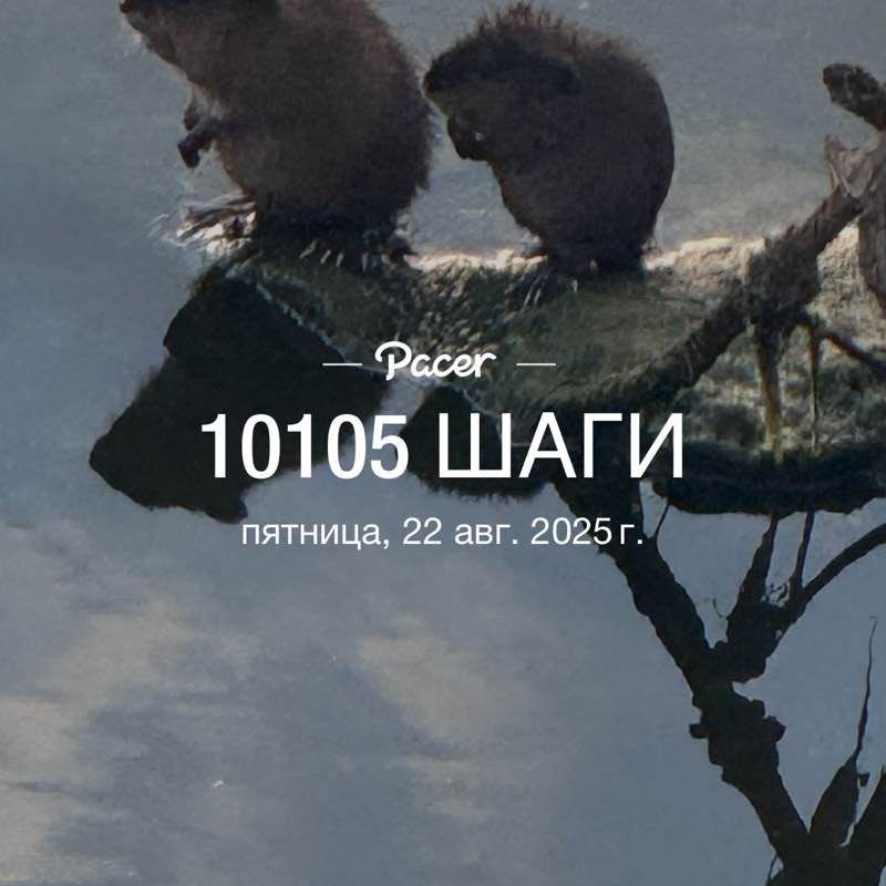 Меруерт post 1