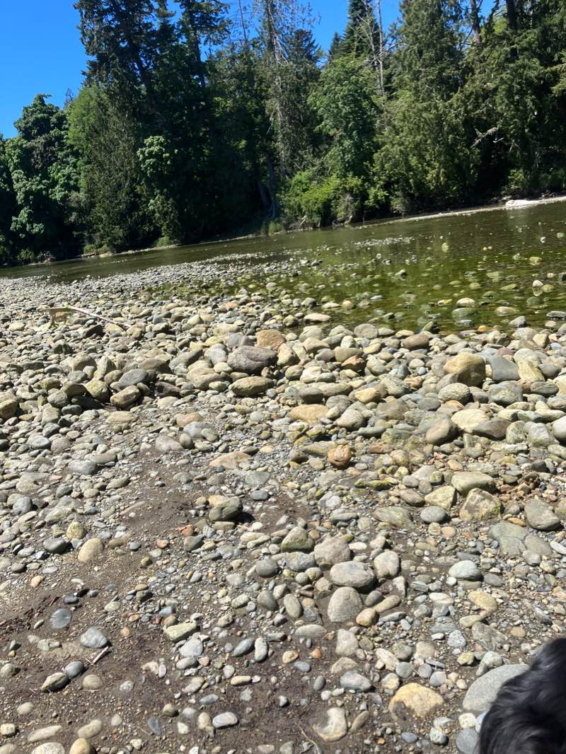 walking near me in Demamiel Creek Park in winter