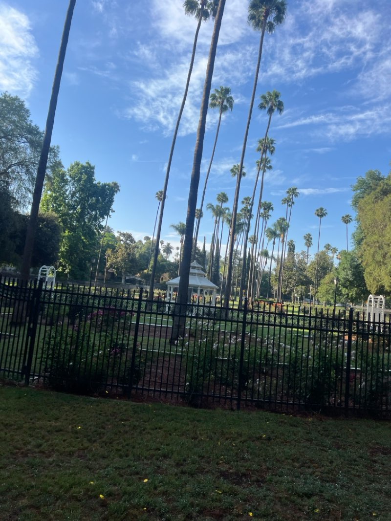 walking near me in Carlson Bark Park in spring