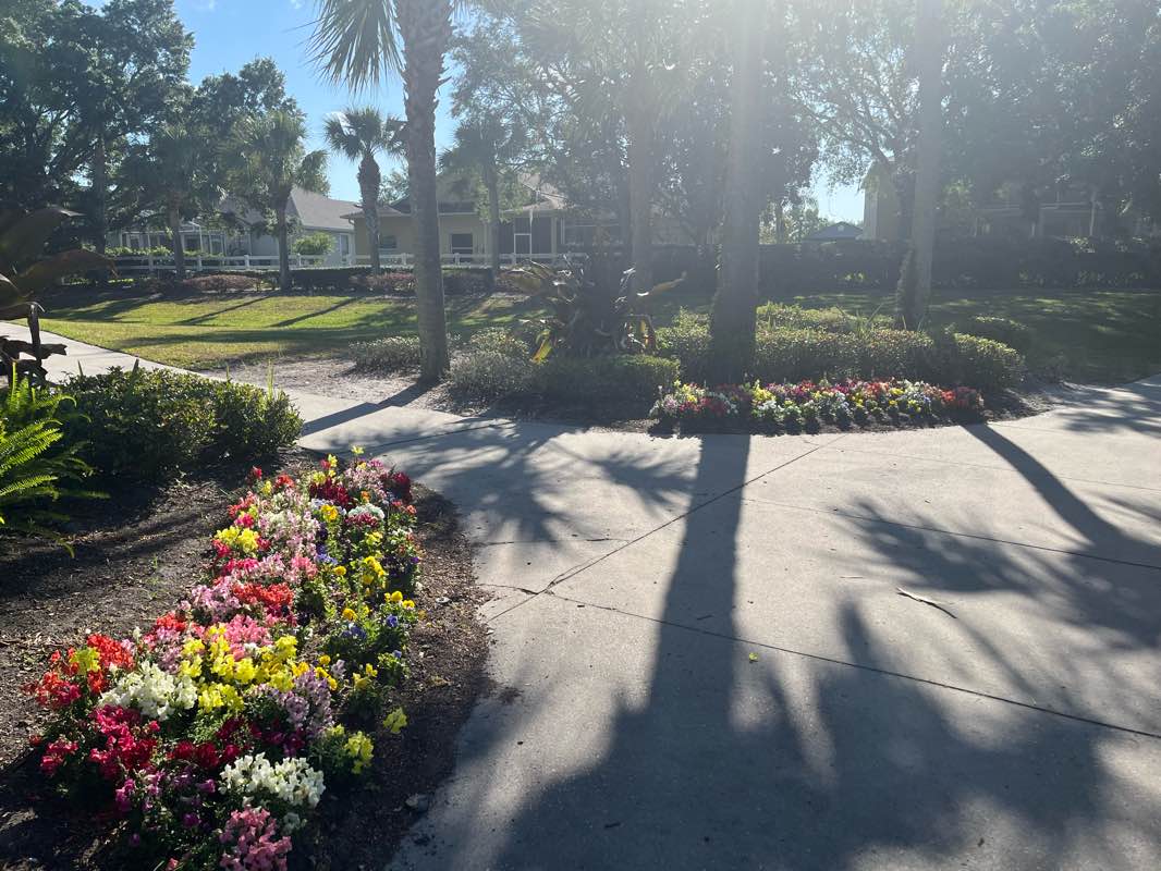 walking near me in Long Lake Park in winter