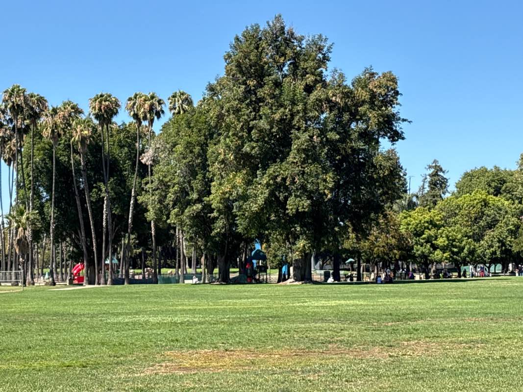 walking near me in Las Palmas Park in summer