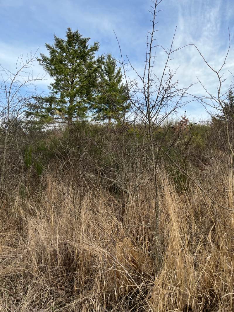 walking near me in Timberhill Park in spring