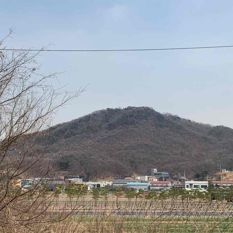 21/유통지원/정인성 post 2