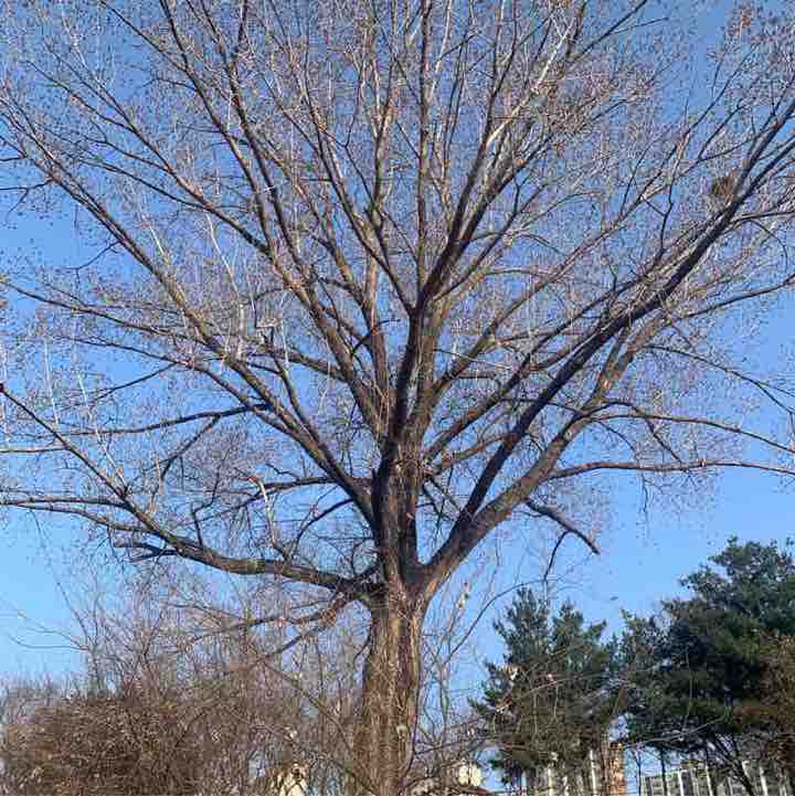 21/유통지원/정인성 post 2