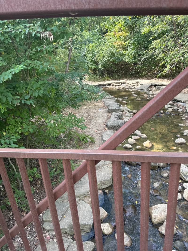 walking near me in Central Park in autumn