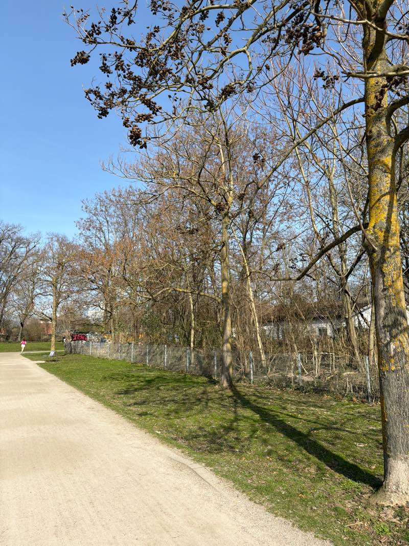 walking near me in Carola-Williams-Park in spring