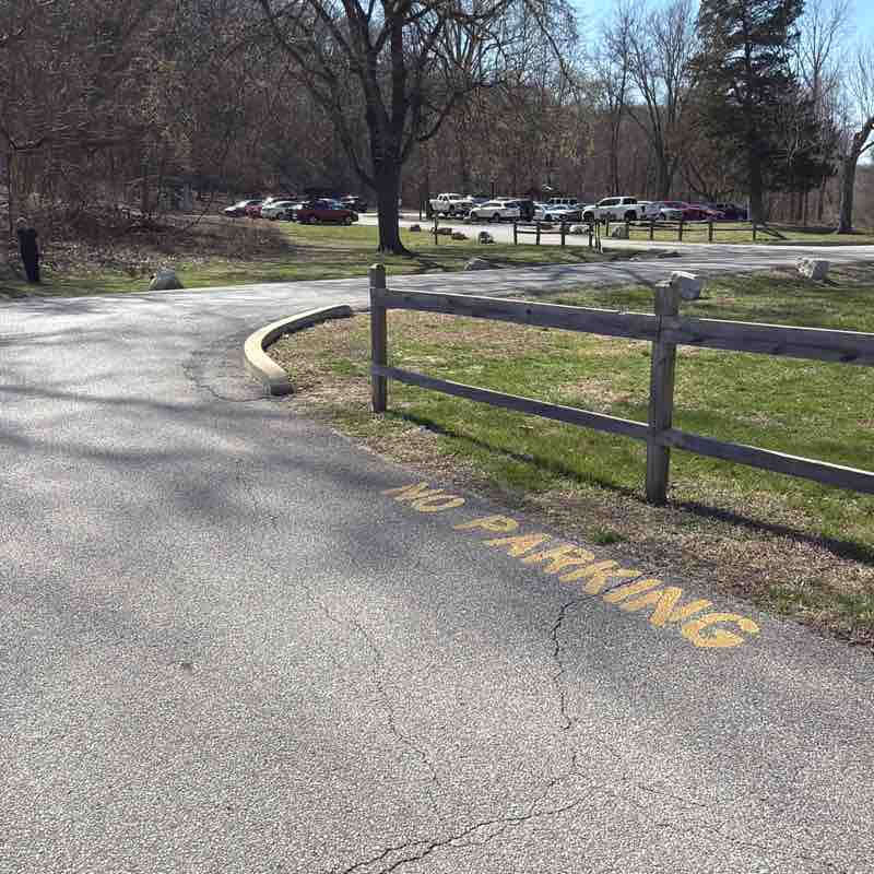 Sreenivasarao Bhuma post 1