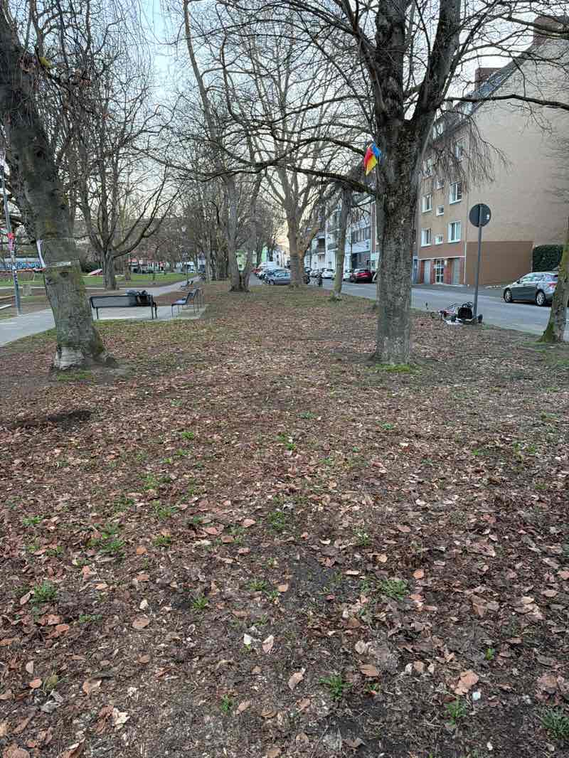 walking near me in Klingelpützpark in spring