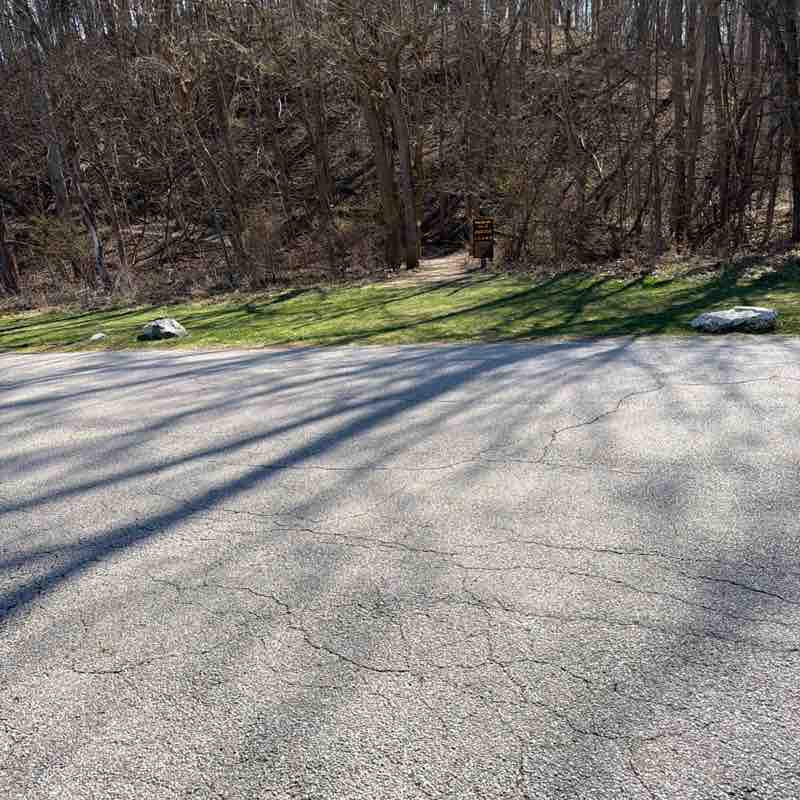 Sreenivasarao Bhuma post 2