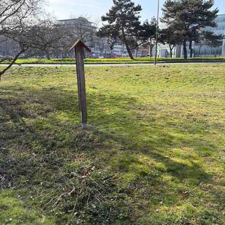 Sreenivasarao Bhuma post 1