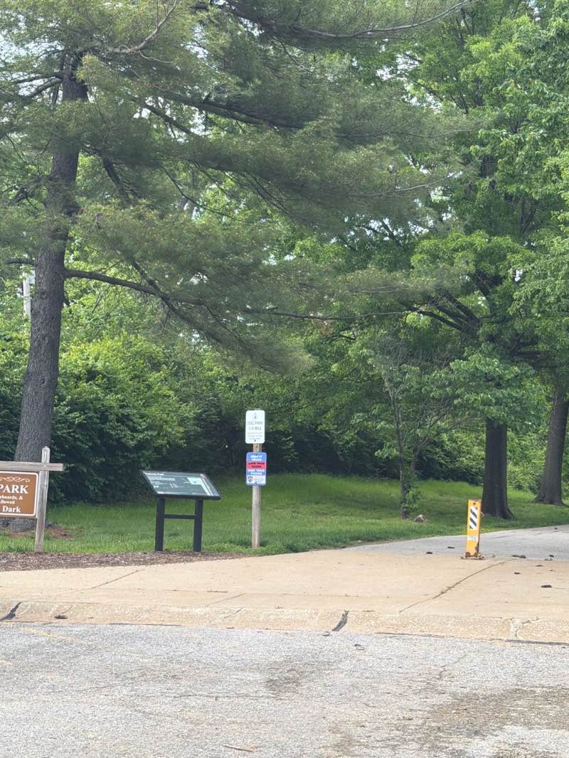 walking near me in Conway Park in spring