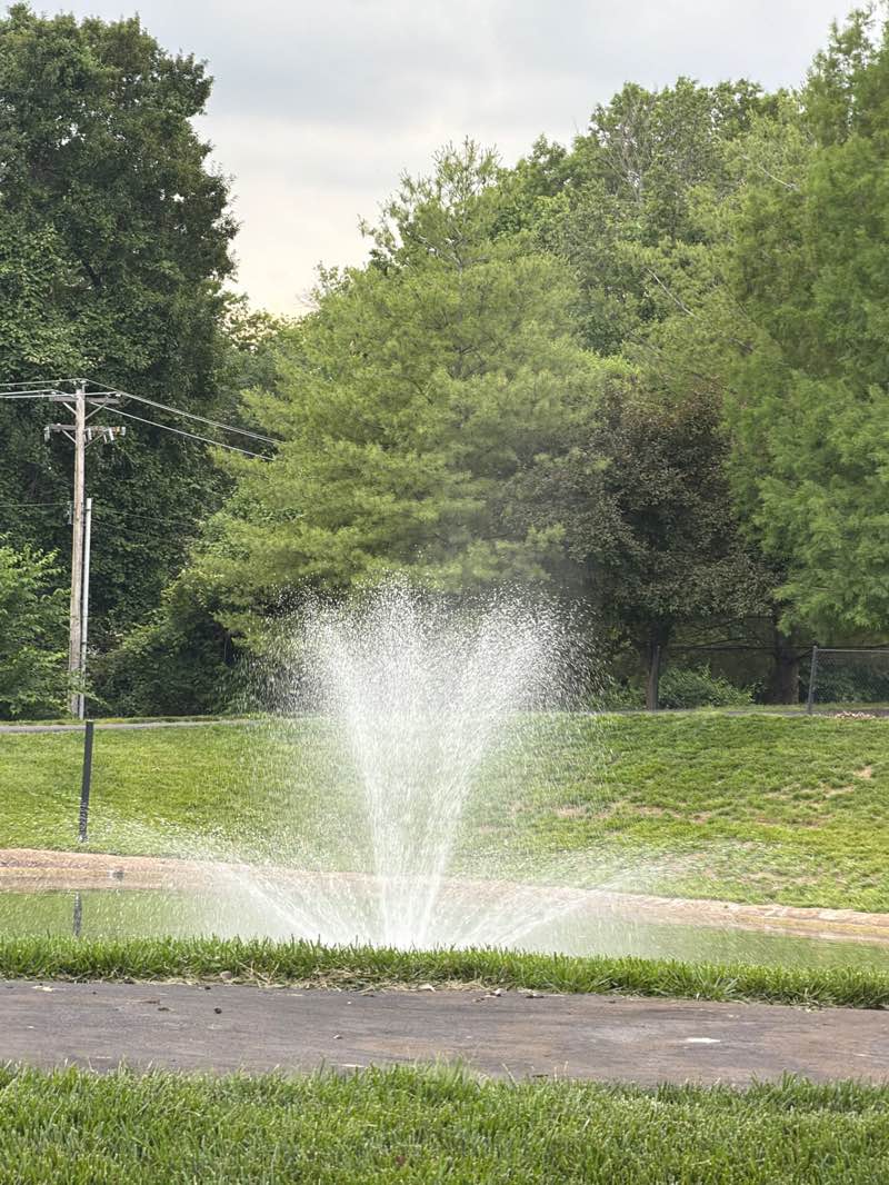 walking near me in Pointe at Ballwin Commons in summer