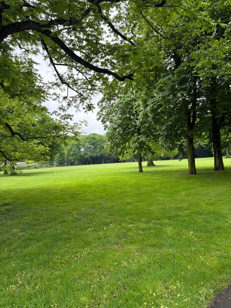 walking near me in Carl-Duisberg-Park in spring