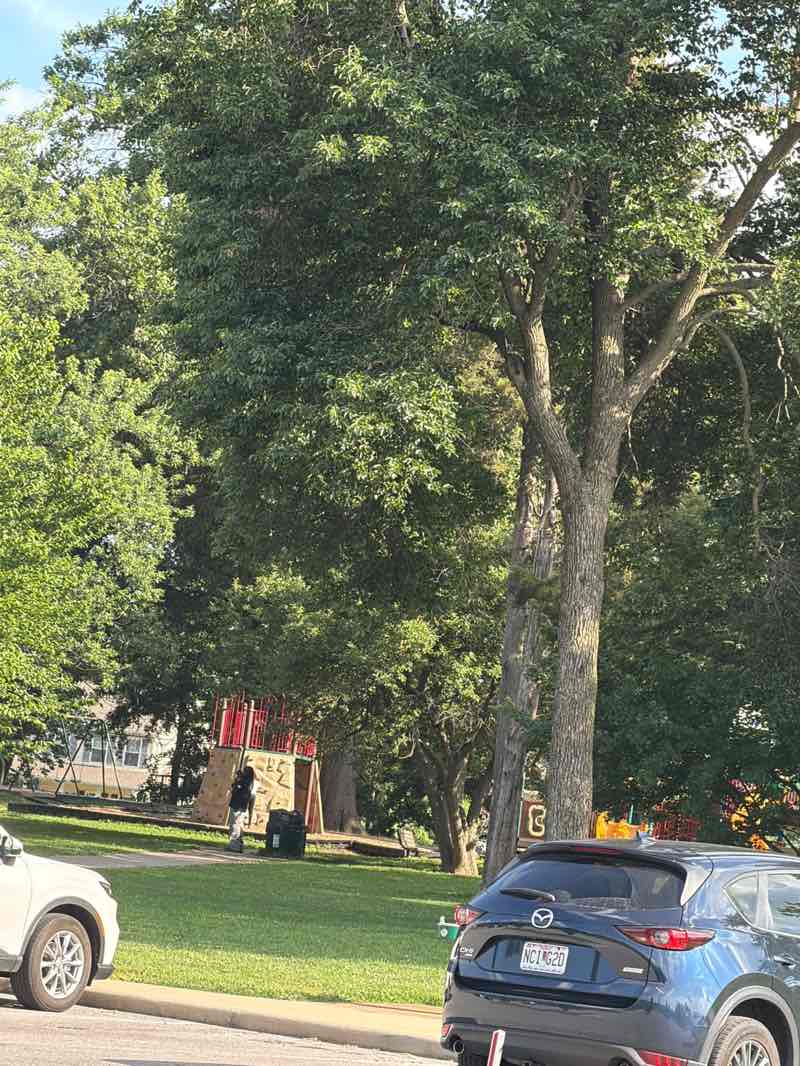walking near me in Stacy Park in summer