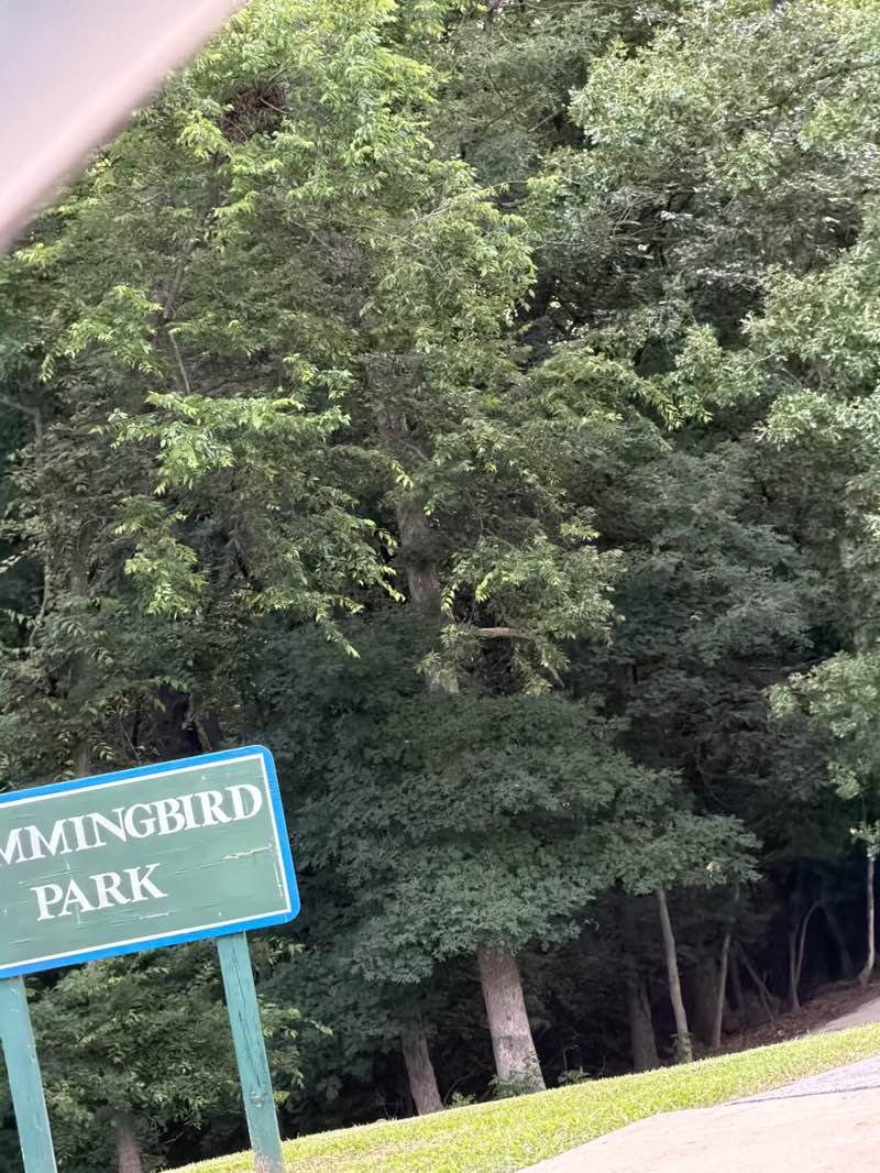 walking near me in Hummingbird Park in summer