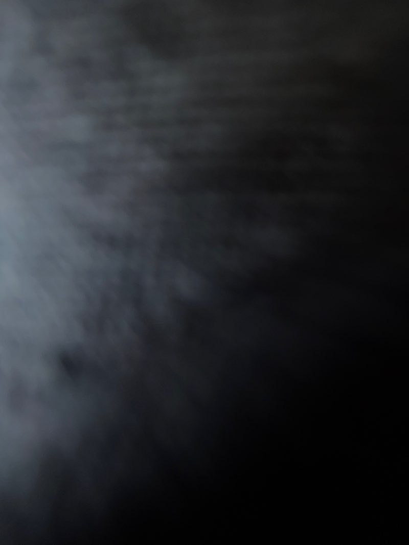 walking near me in Seibert Park in summer