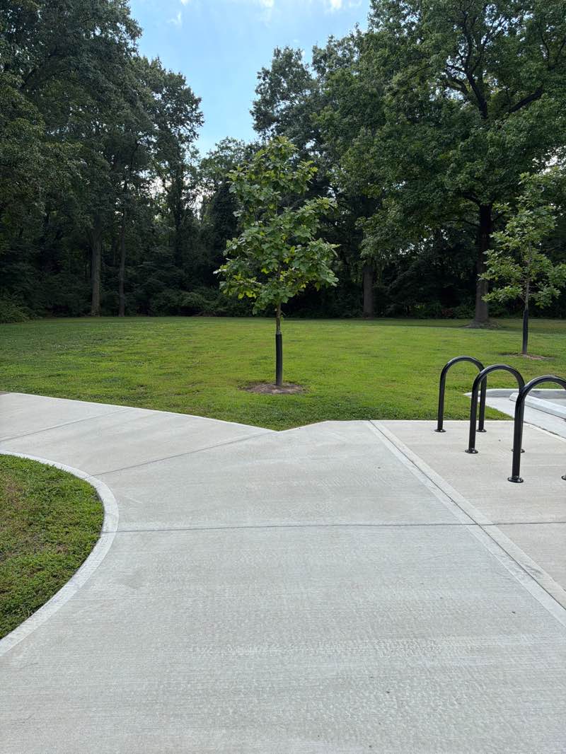 walking near me in Mockingbird Park in summer