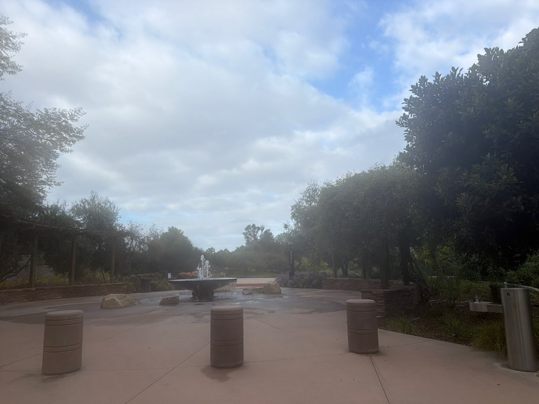 walking near me in Coldwater Canyon Park in summer
