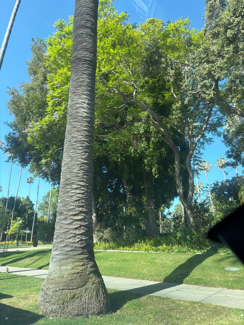 walking near me in Will Rogers Memorial Park in summer