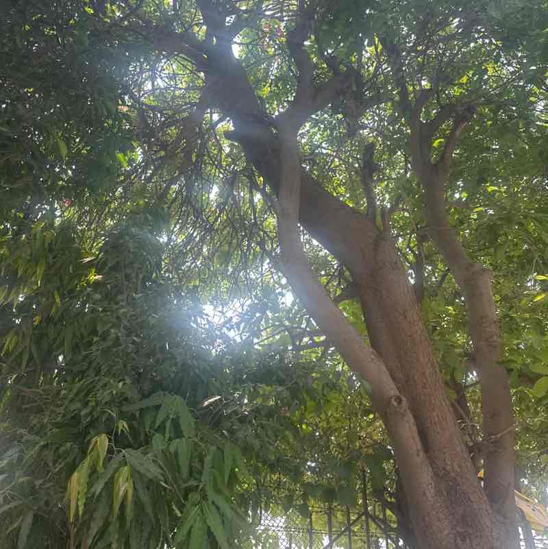 Neha post 1
